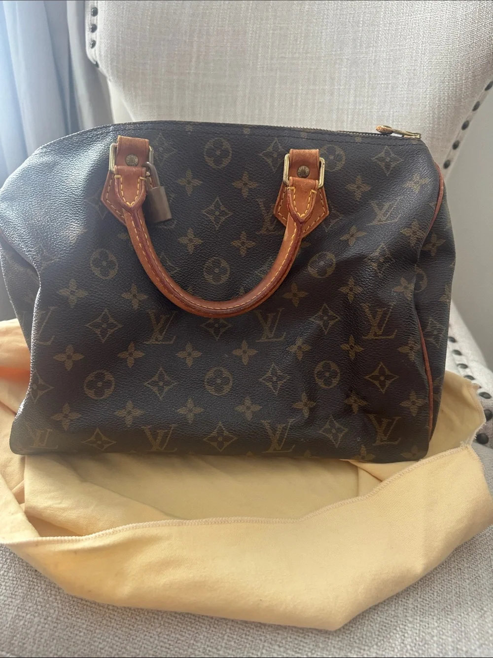 Louis Vuitton Light Cream Logo Dust Bag